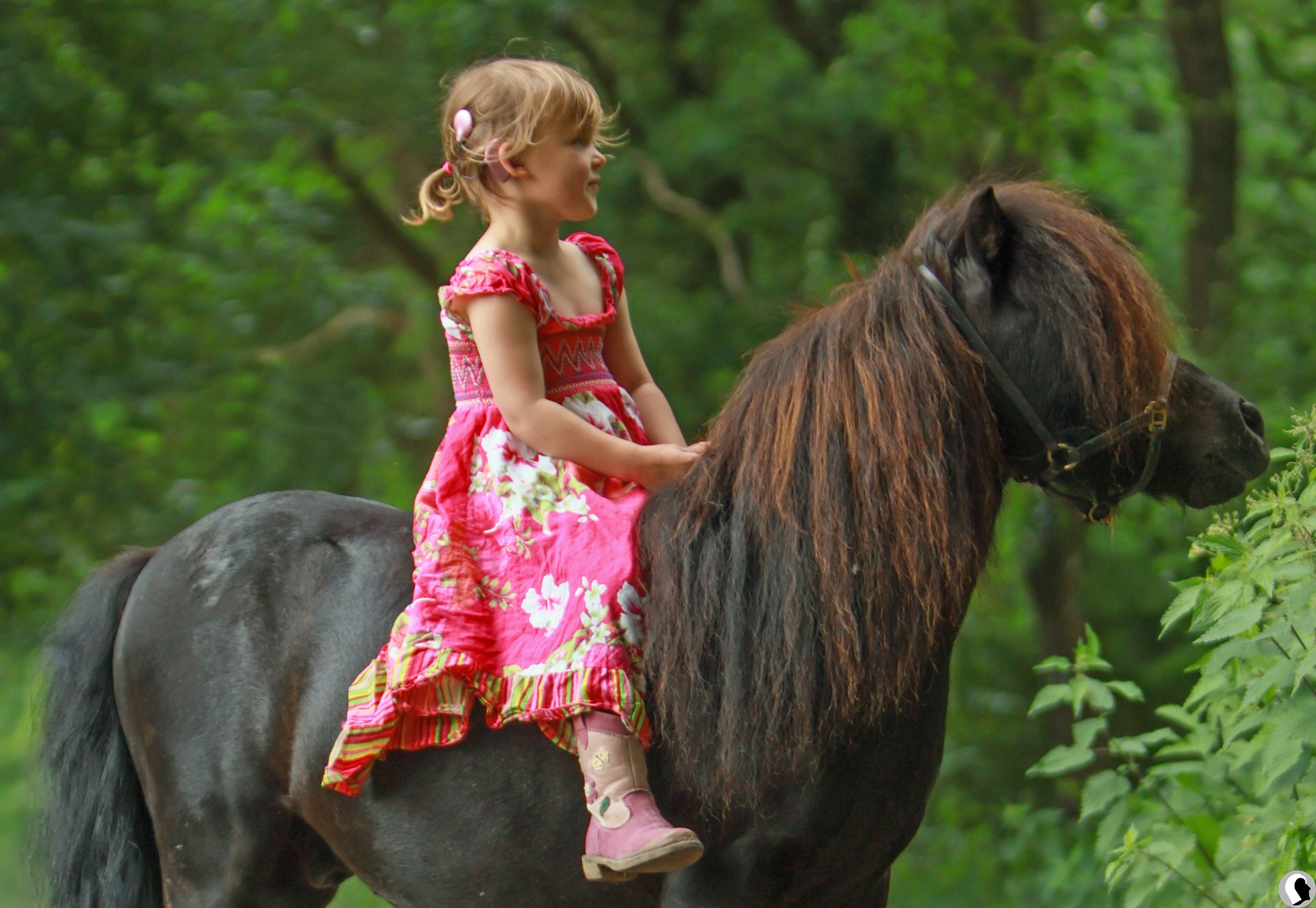 Victoria_3_b_Foto Minoek van Servern